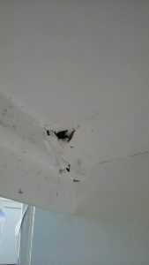 residential roof repair
