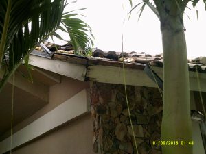 residential roof repair