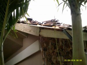 residential roof repair