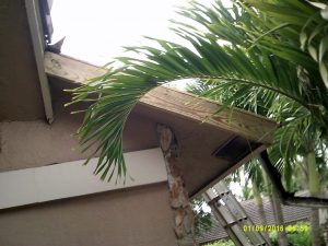 residential roof repair