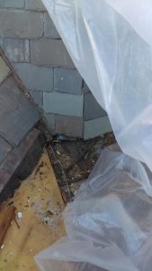flat roof repair