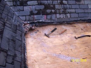 flat roof repair