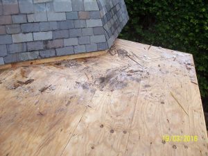 flat roof repair