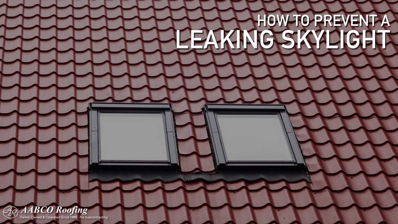 Leaking Skylight