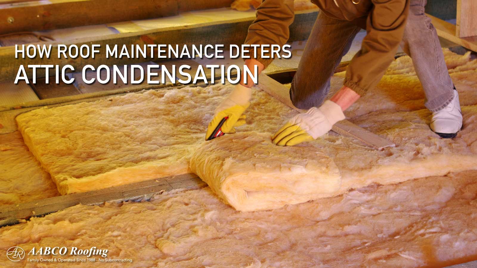 Roof Maintenance