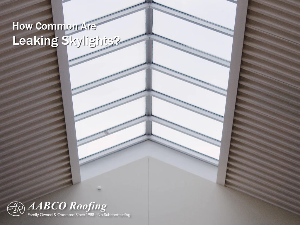 leaking skylight repair