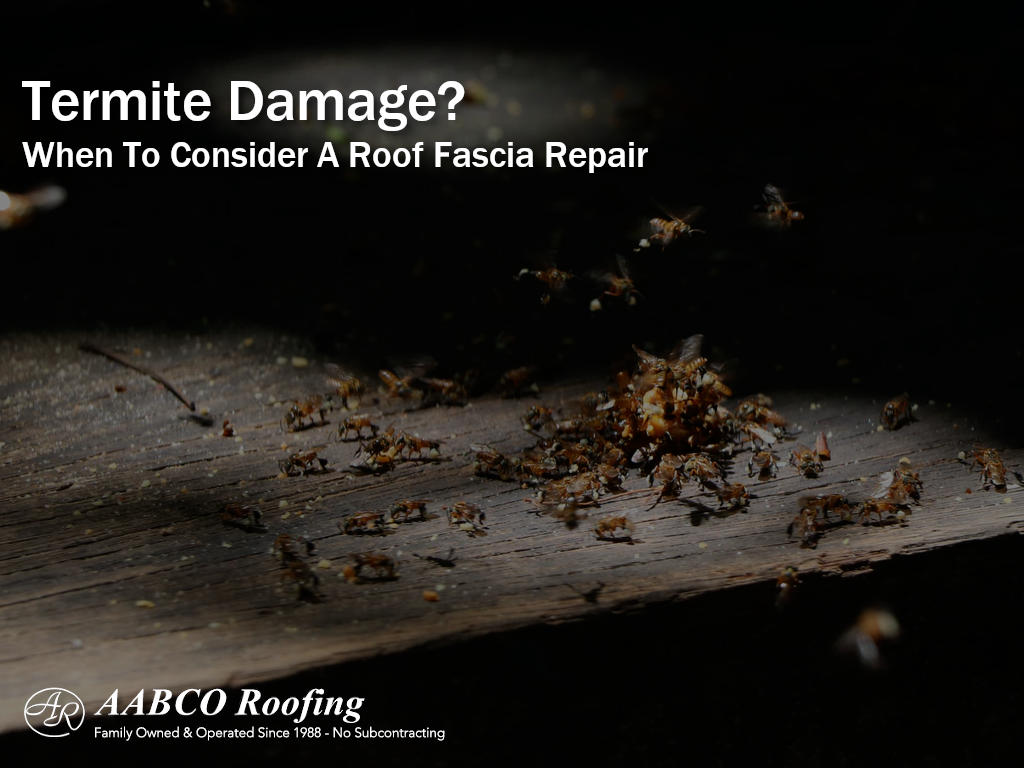 Roof Fascia Repair