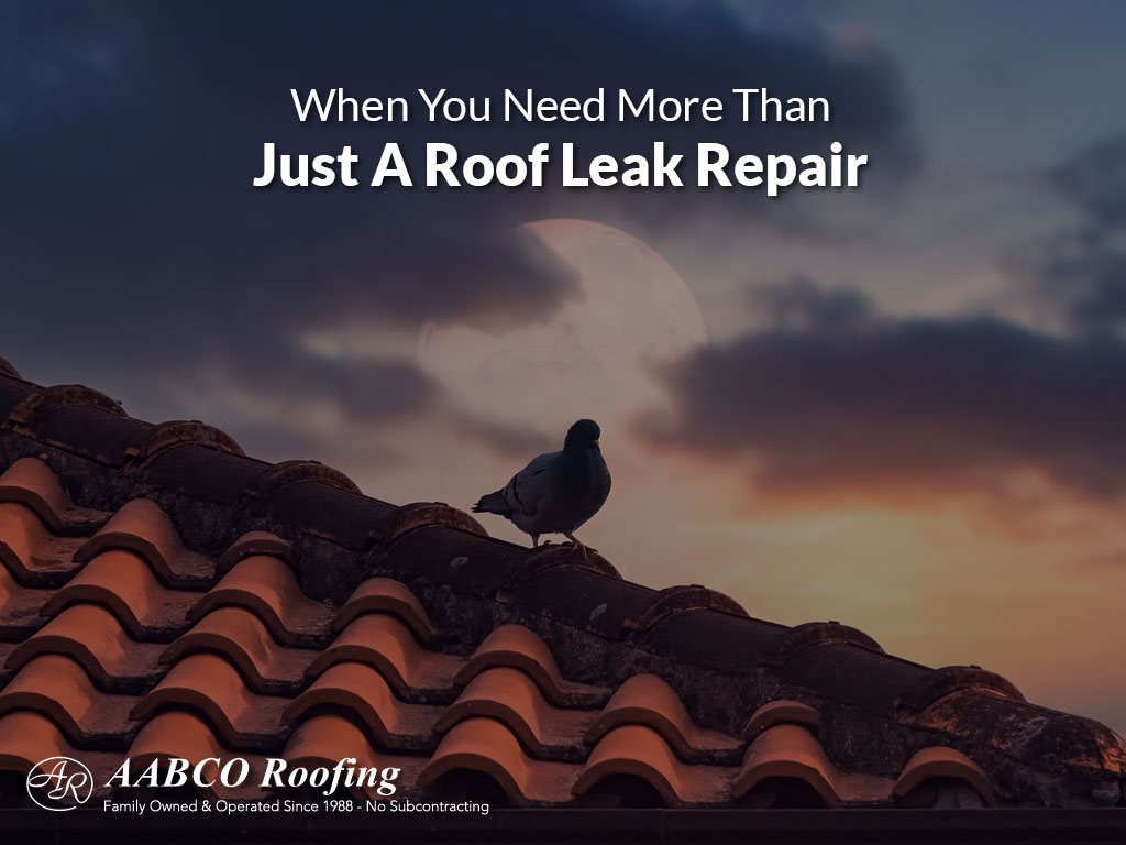 roof leak repair