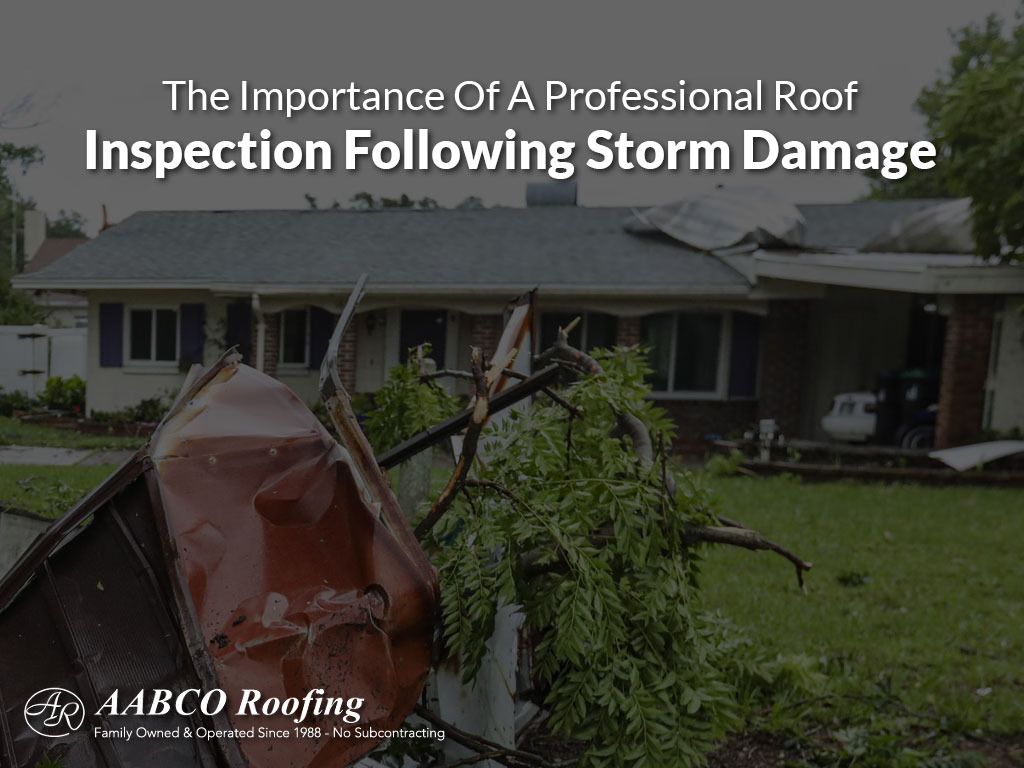 professional roof inspection